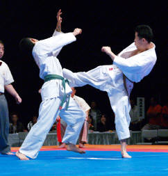 Kyokushin 2
