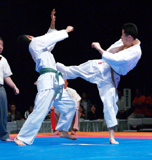 Kyokushin Photos